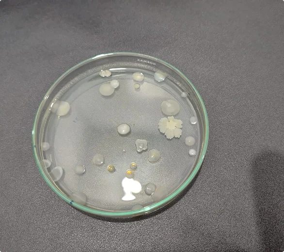 Qualin - Análises Ambientais