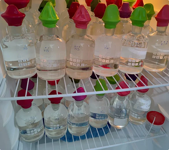 Qualin - Análises Ambientais